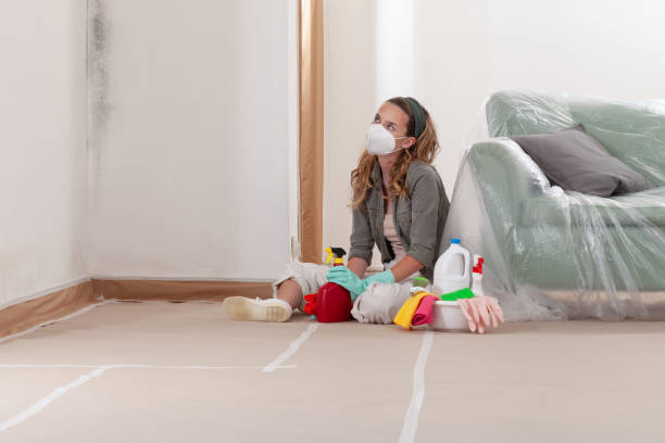 Reliable Mold Inspection contractor in Chestnut Hill, MA by WQB Mold Removal